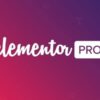 Elementor Pro Website Builder