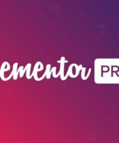 Elementor Pro Website Builder